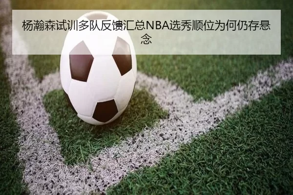杨瀚森试训多队反馈汇总NBA选秀顺位为何仍存悬念